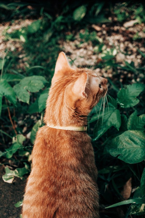 les indispensables pour équiper son jardin et créer un jardinage plus facile