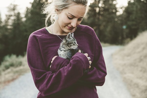 Pourquoi les chats nous fixent quand on fait l'amour ?