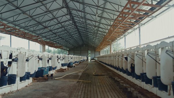 Pourquoi opter pour un hangar photovoltaïque signé Arkolia ?